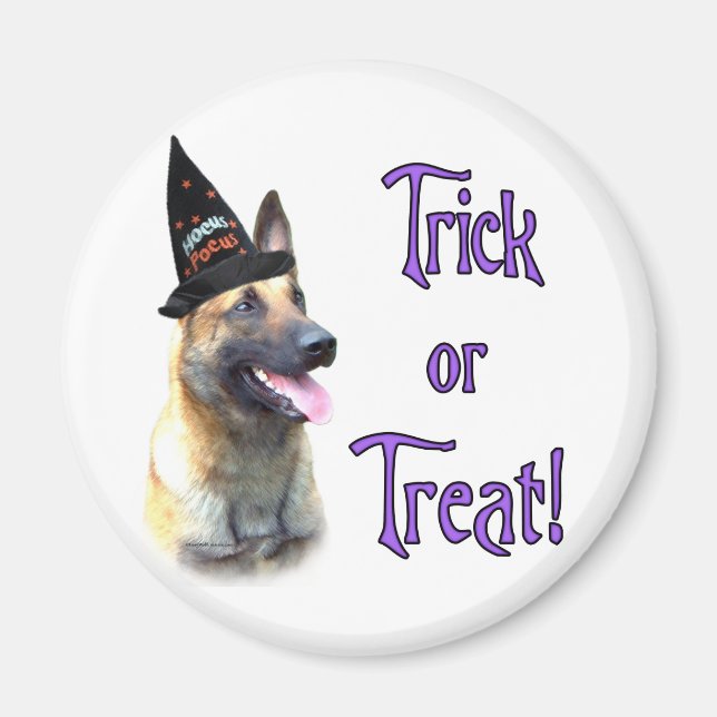 Belgiska Malinois Trick Magnet (Framsidan)