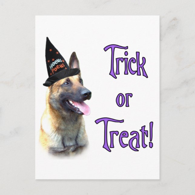 Belgiska Malinois Trick Vykort (Framsida)
