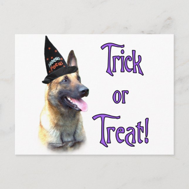Belgiska Malinois Trick Vykort (Framsida)