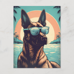Belgiska Malinois vid en tropisk strand under soln Vykort