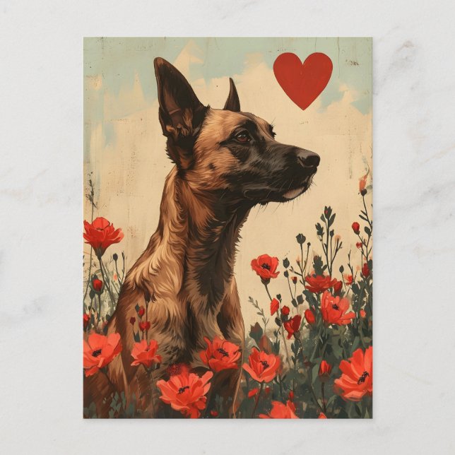 Belgiska Malinois Vintage Valentine-dagen Vykort (Framsida)