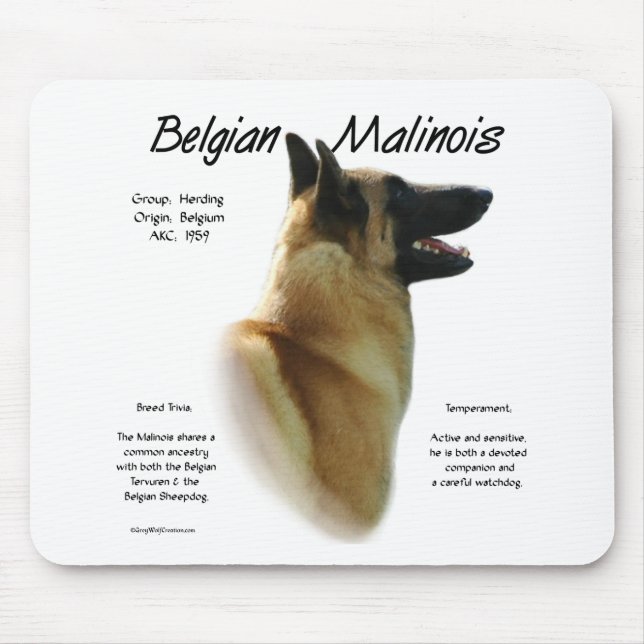 Belgiska Malinoishistorien; allt om Malinois Musmatta (Framsidan)