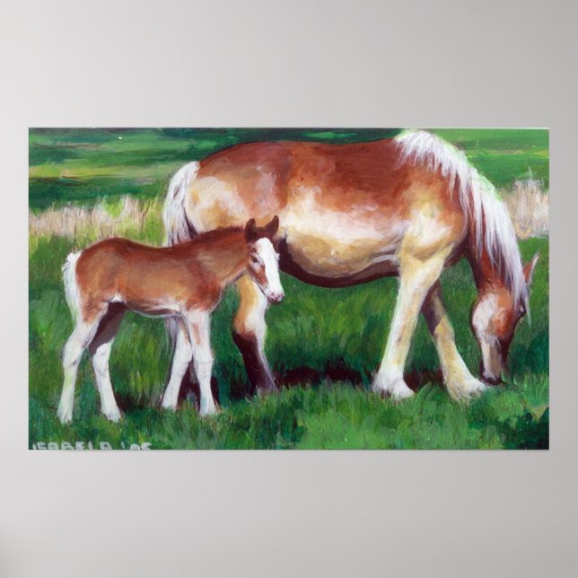 Belgiska Mare and Foal Horse Porträtt Poster (Framsidan)