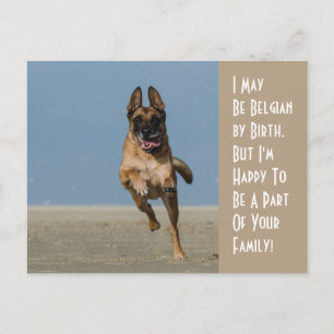 Belgiska per födelsedagskort, Hund vykort