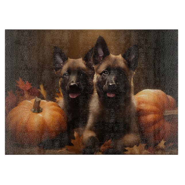 Belgiska schepherd Puppy Autumn Delight Pumpkin (Framsidan)