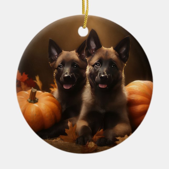 Belgiska schepherd Puppy Autumn Delight Pumpkin Julgransprydnad Keramik (Framsidan)