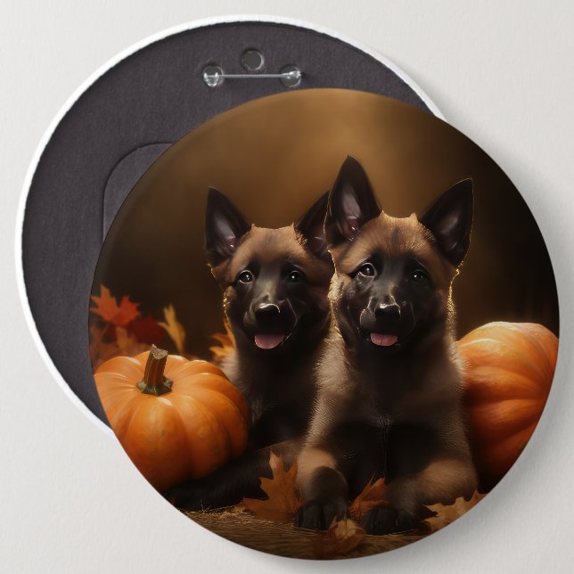 Belgiska schepherd Puppy Autumn Delight Pumpkin Knapp (Framsida & baksida)