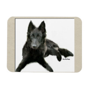 Belgiska Sheepdog Art Magnet