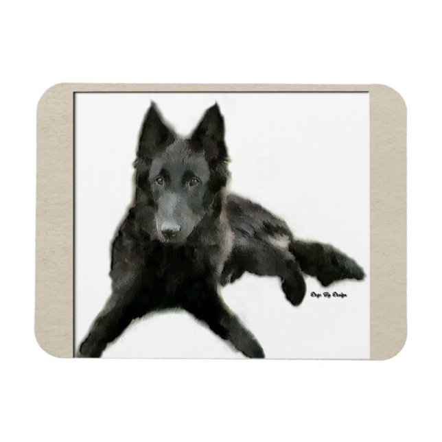 Belgiska Sheepdog Art Magnet (Horisontell)
