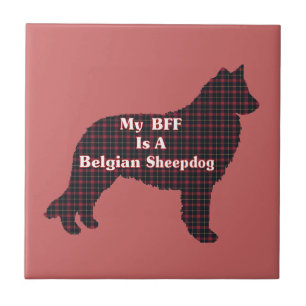 Belgiska Sheepdog BFF Kakelplatta