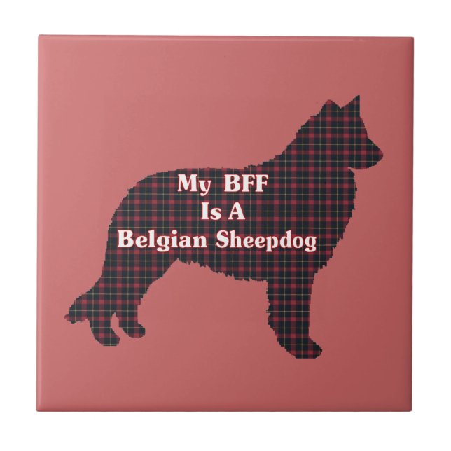 Belgiska Sheepdog BFF Kakelplatta (Framsidan)