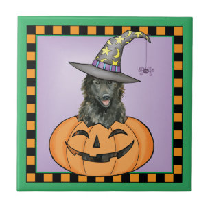 Belgiska Sheepdog Halloween Kakelplatta