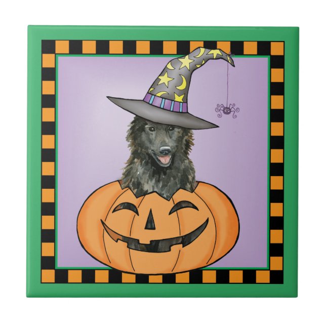 Belgiska Sheepdog Halloween Kakelplatta (Framsidan)