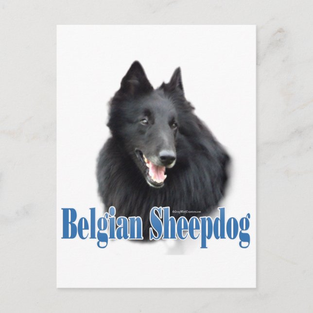 Belgiska Sheepdog Namn Vykort (Framsida)