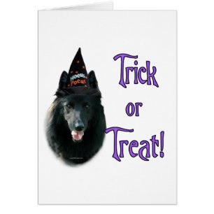 Belgiska Sheepdog Trick Hälsningskort