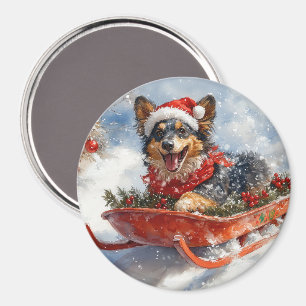 Belgiska shefherd i Sledge Låt det snöa jul Magnet