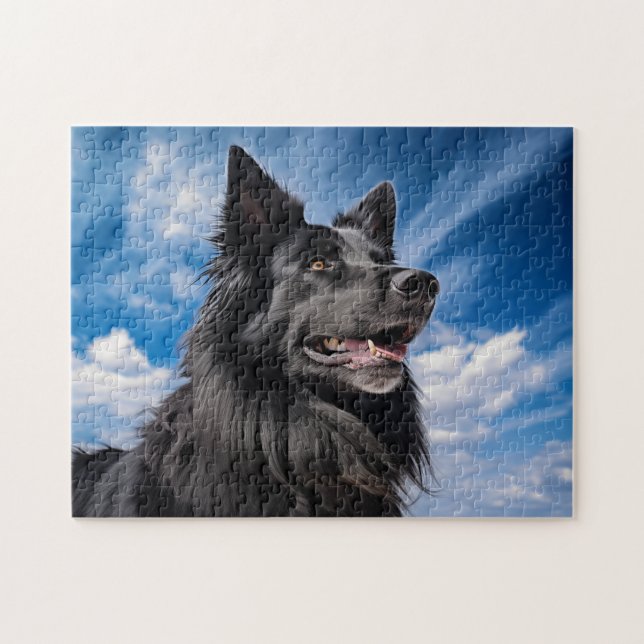 Belgiska shepherd Groenendael Pussel (Horisontell)