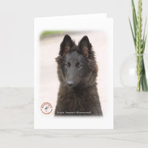 Belgiska Shepherd Hund 9R096D-022 Kort