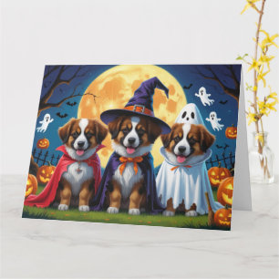 Belgiska Shepherd Hundar Pumpkin Halloween Funny Kort