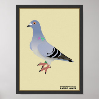 Belgiska Tävlan Homer Print Poster