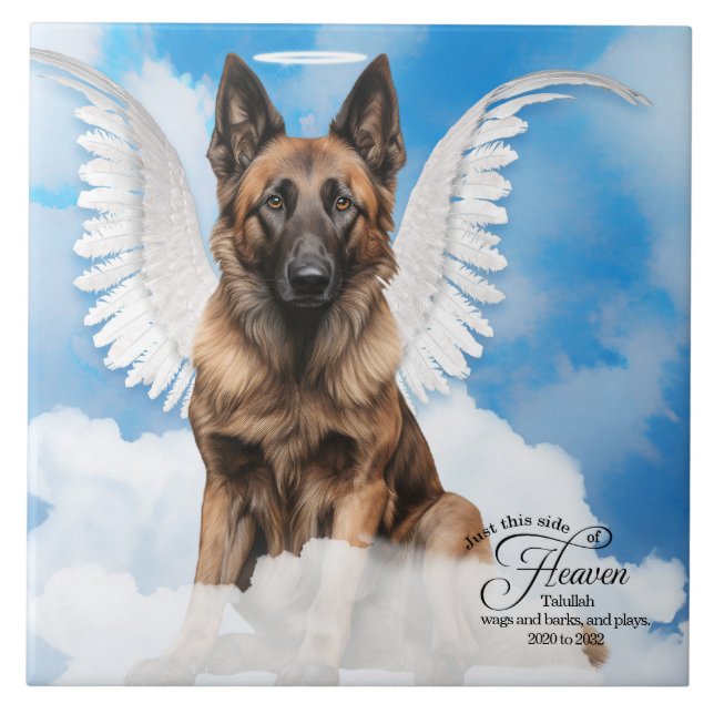 Belgiska Tervuren Angel Personlig Pet Memorial Kakelplatta (Framsidan)