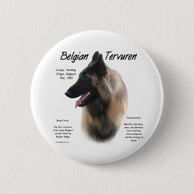 Belgiska Tervuren Meet the Breed - Button Knapp (Framsida)