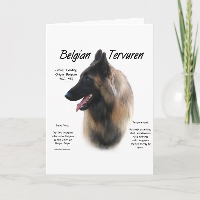 Belgiska Tervuren Möte rasen Helgkort (Framsida)