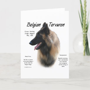Belgiska Tervuren Möte rasen Helgkort