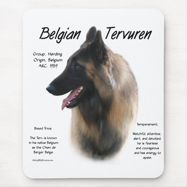 Belgiska Tervuren Möte rasen Musmatta (Framsidan)
