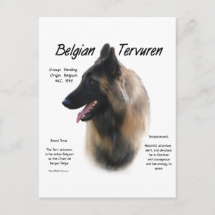 Belgiska Tervuren Möte rasen Vykort