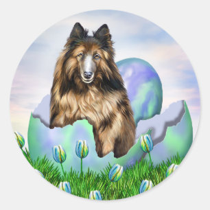 Belgiska Tervuren Påsk Sticker Runt Klistermärke