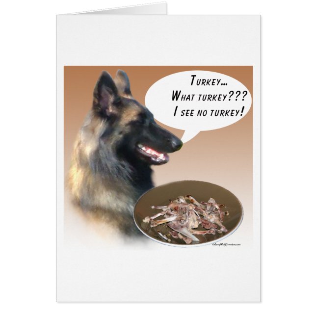 Belgiska Tervuren Turkey Hälsningskort (Framsidan)