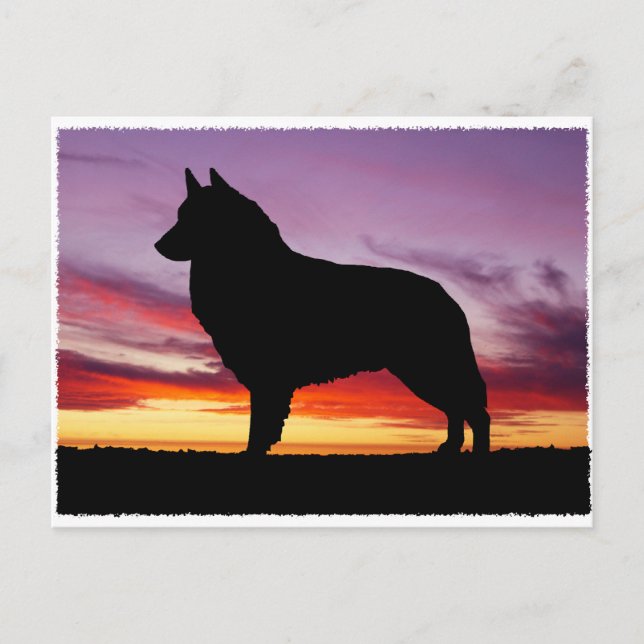 Belgiska Tervuren Vykort (Framsida)
