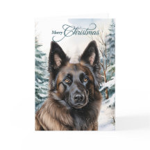 Belgiska Tervuren Woodland Forest God jul