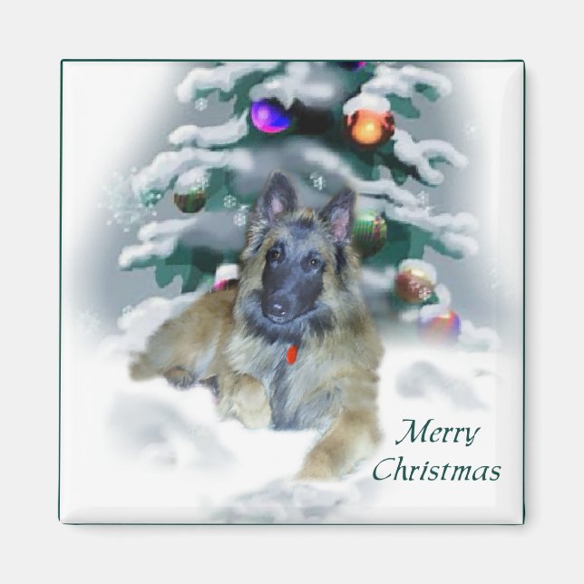 Belgiska tervuryjulgåvor magnet (Framsidan)