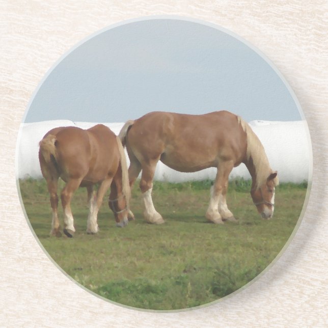 Belgiska Underlägg Sandsten (Framsidan)