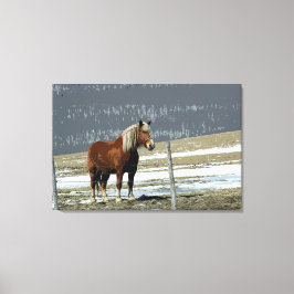 Belgiska utkast till häst i Paddock Canvas Art
