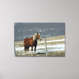 Belgiska utkast till häst i Paddock Canvas Art