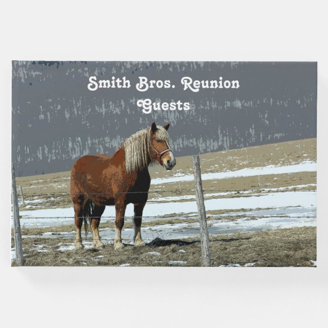 Belgiska utkast till häst i Paddock Guest Bok (Framsida)