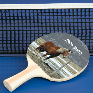Belgiska utkast till häst i Paddock Ping Pong Padd Pingisracket