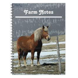 Belgiska utkast till häst i Paddock Spiral Anteckningsbok