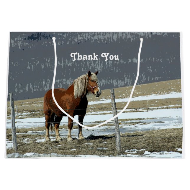 Belgiska utkasthästen i Paddock Gift-påse (Framsidan)