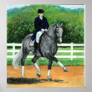 Belgiska Warmblodet Dressage Horse Porträtt Poster
