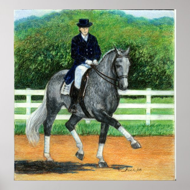 Belgiska Warmblodet Dressage Horse Porträtt Poster (Framsidan)