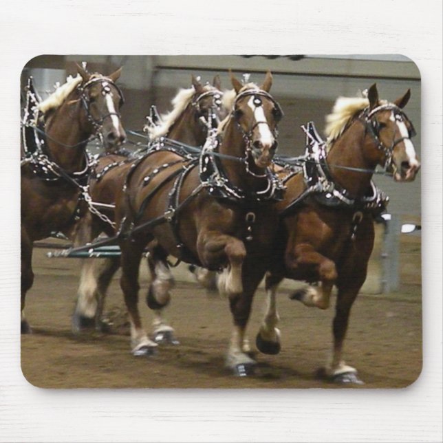 Belgiskt lag i fyr- och munsvala musmatta (Framsidan)