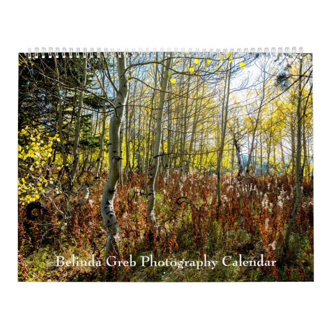 Belinda Greb-fotokalender Kalender (Omslag)