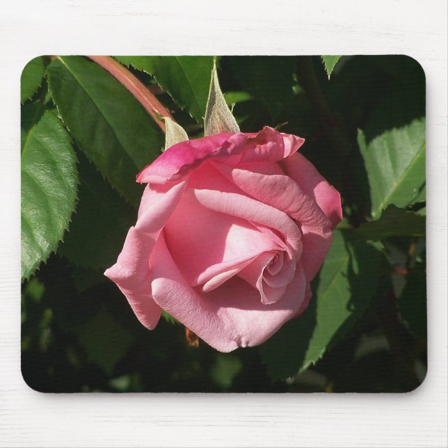 Belindas dröm- rosa ros Mousepad Musmatta (Framsidan)