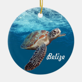 Belize Anpassningsbar jul Ornament