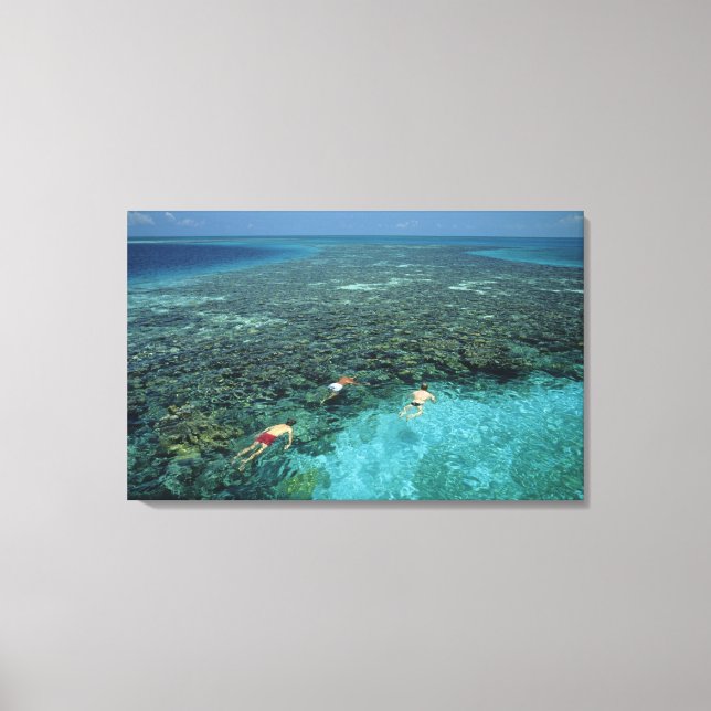 Belize, barriärrev, Lighthouse Reef, Blå Canvastryck (Framsida)