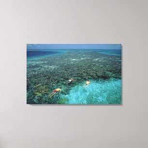Belize, barriärrev, Lighthouse Reef, Blå Canvastryck